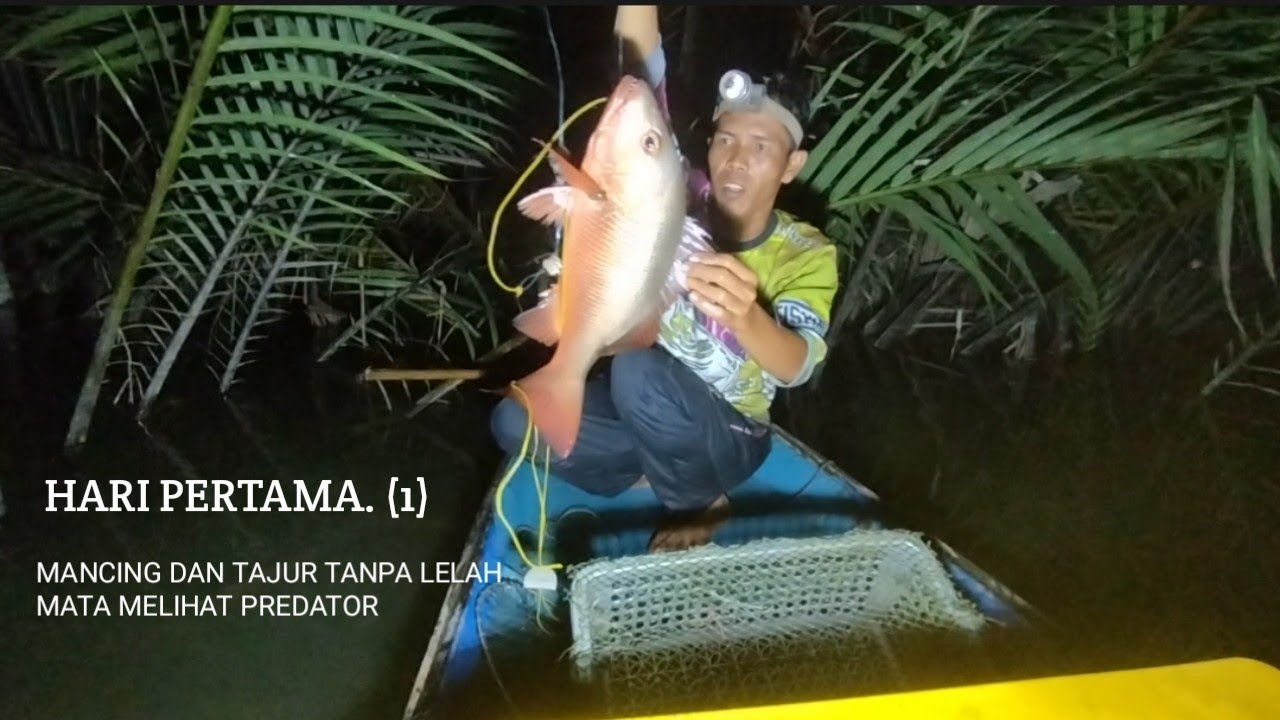 2 Hari 2 Malam di Muara, Tanpa Lelah Menikmati Hasil Pancing Ikan Kakap Mangrove. #mancingkakap