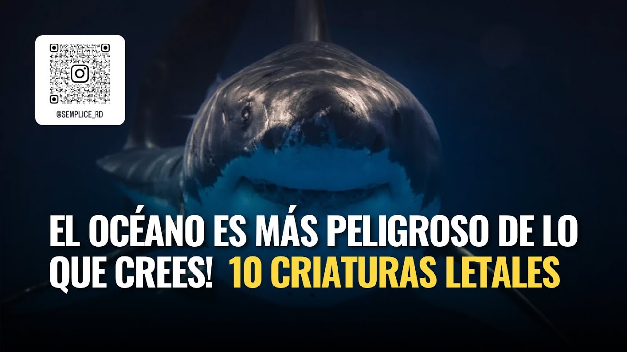 El Océano es mas Peligroso de lo que Crees