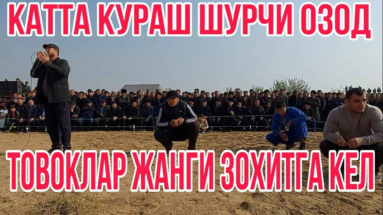 катта кураш шурчм озод товоклар жанги
