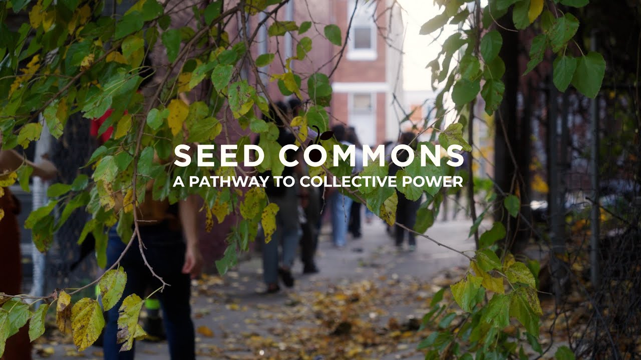 Seed Commons: A Pathway to Collective Power