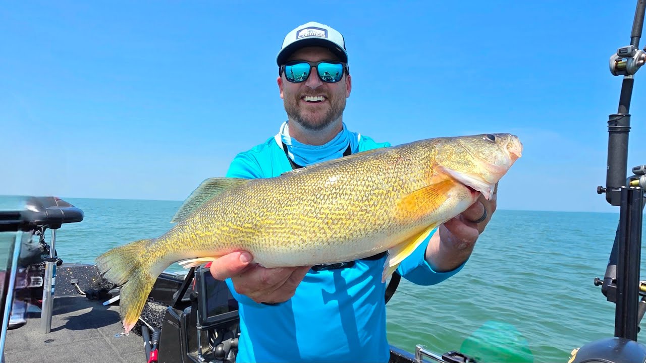 Summer WALLEYE on Saginaw Bay!!!...EASY LIMITS!!!...Catch Clean & Cook