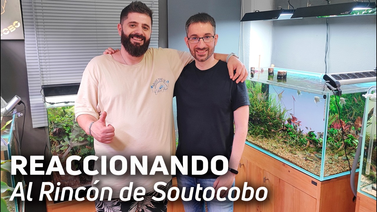 😲Cap Nº44: Tour Completo Por la FishRoom del Rincón de Soutocobo 🌿🐠
