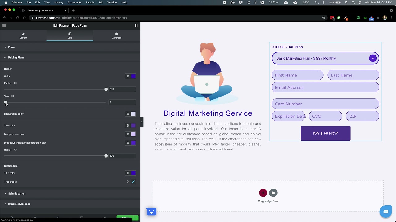 Styling your Payment Page