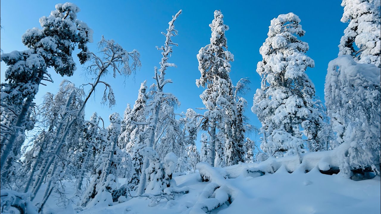 LEVI FINNISH LAPLAND SNOW WALK [5K] - Outstanding Winter Wonderland landscape - Finland