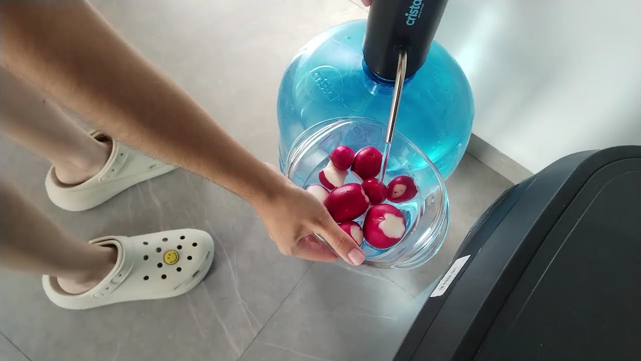 C&oacute;mo hacer un Puchero | Historia de la Alimentaci&oacute;n