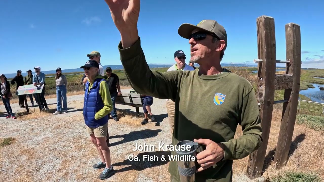 South Bay Salt Pond Restoration Tour: Bringing back the past and protecting the future