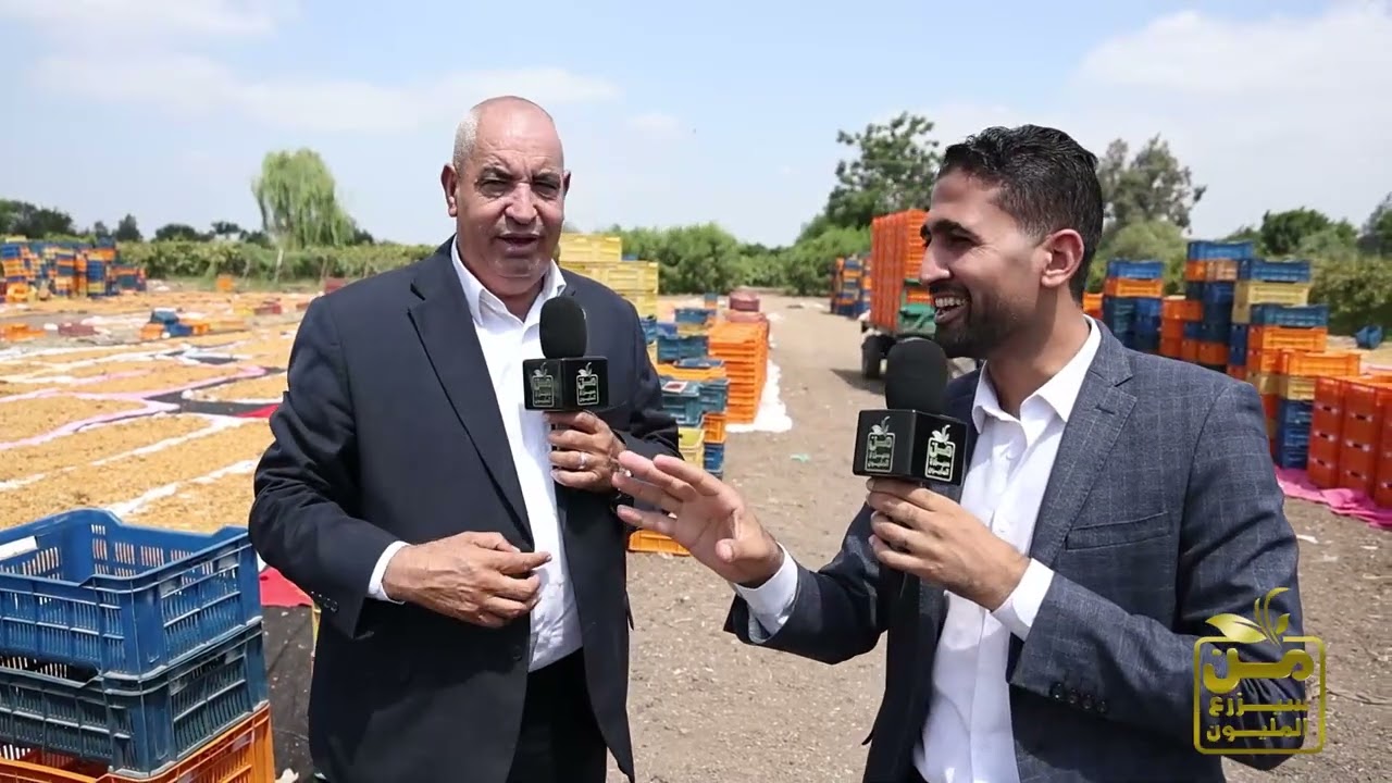 من سيزرع المليون في قلعة صناعة الزبيب في الغربية.. مطالبات عاجلة بمنطقة صناعية.. ومنتجهم يصدر للعالم