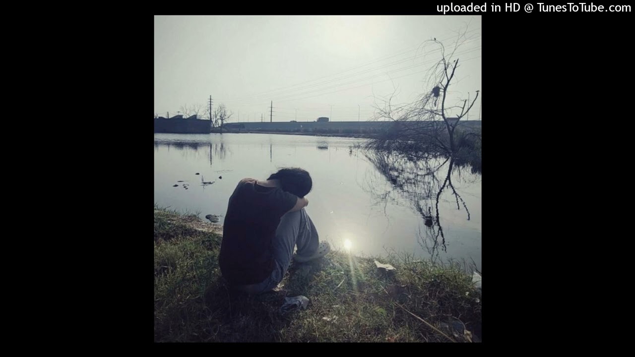 (free for profit) bunii + indie rock + math rock 
