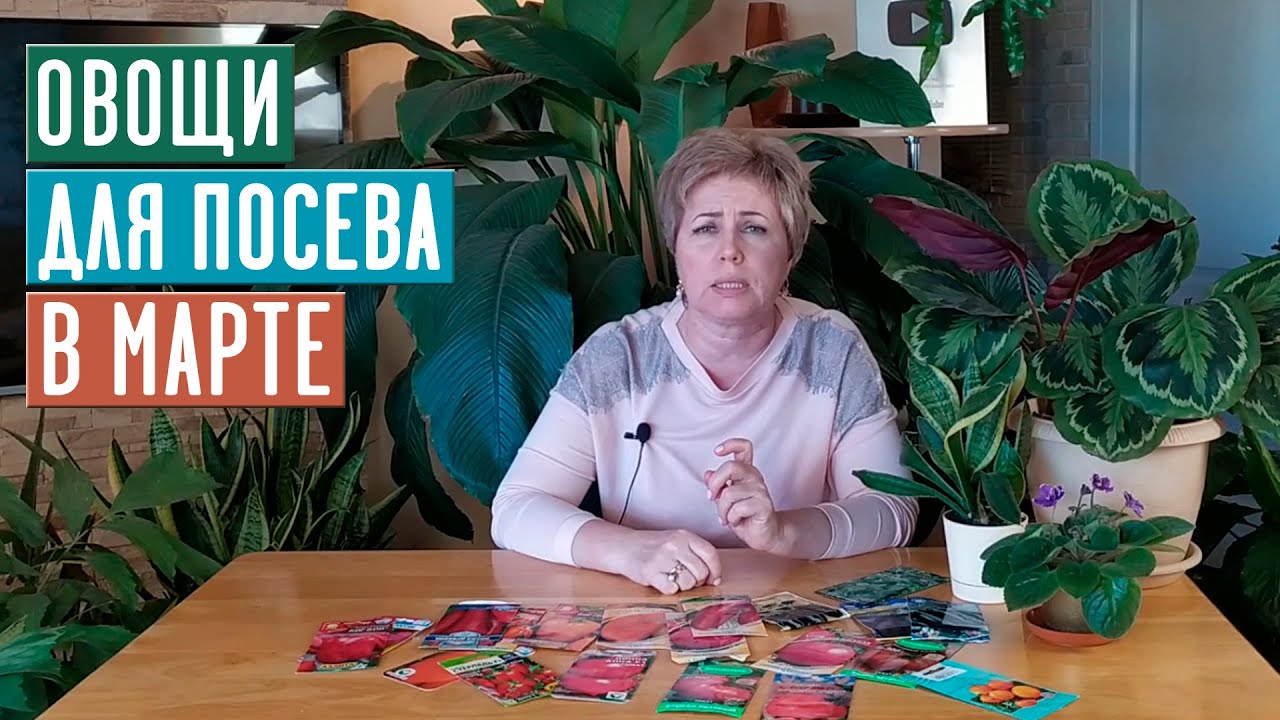 СЕЗОН 2020: Что посеять в марте: ОВОЩИ!  8 МАРТА РОЗЫГРЫШ!!! / Садовый гид