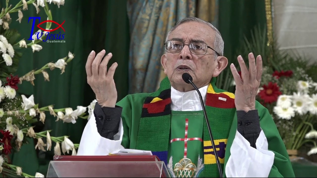 Tema: Trigo y cizaña. Padre Hugo Estrada sdb