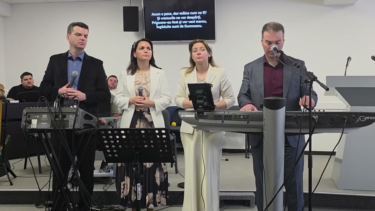 Frații Bălan. Acum e pace.