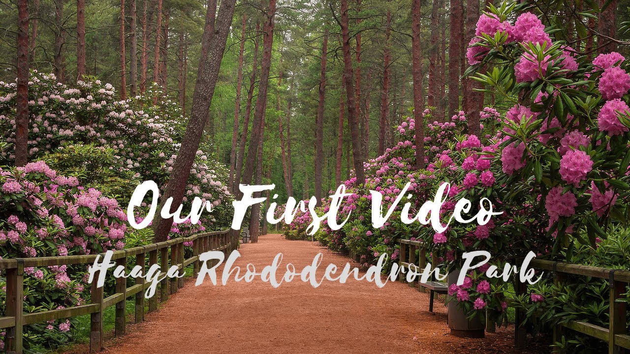 Our First Video - Haaga Rhododendron Park