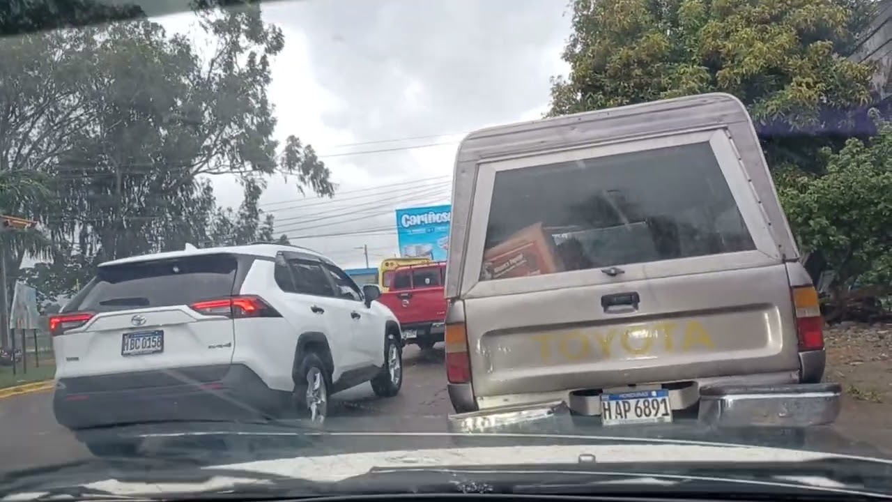 bonita yubia en la ceiba