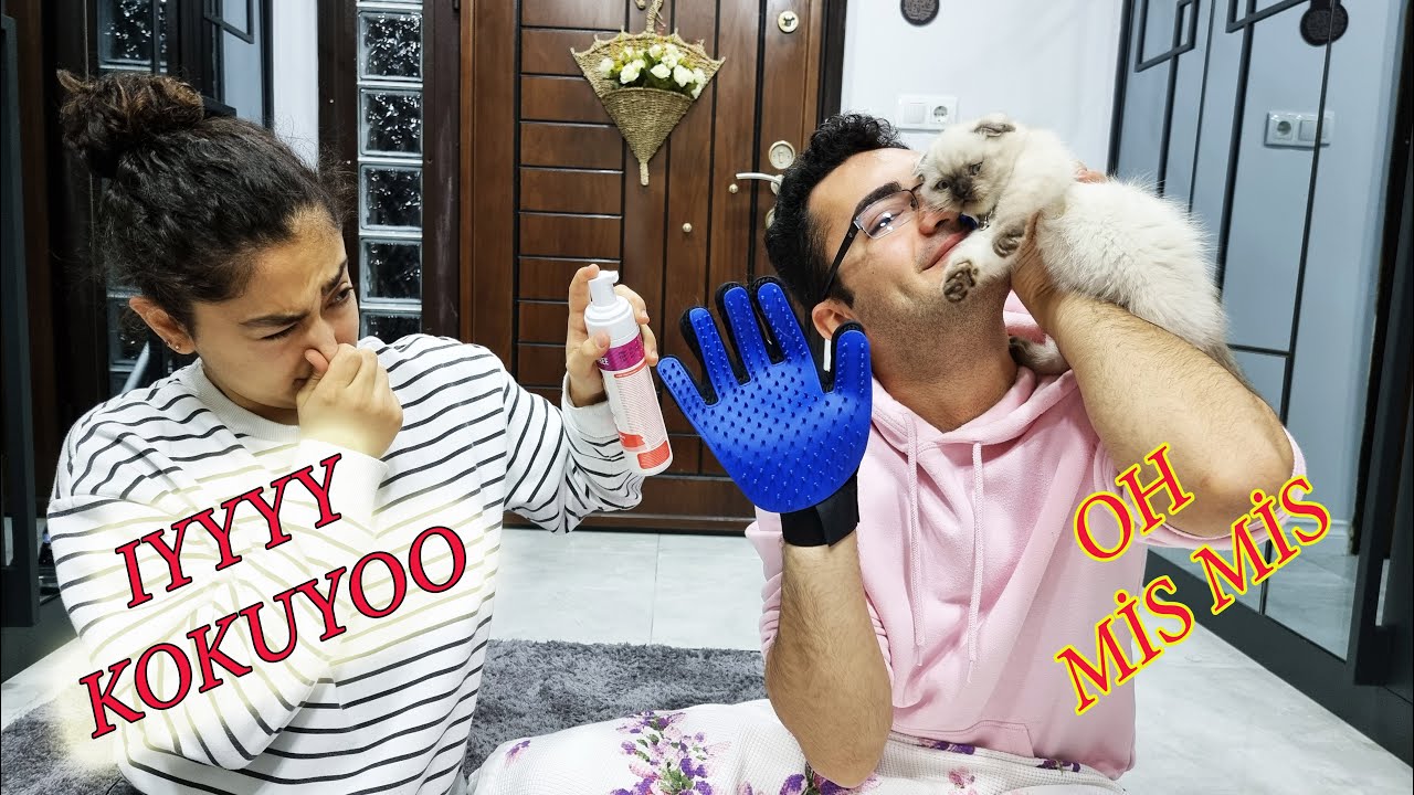 KEDİME BAKIM KÖPÜK BANYOSU YAPTIRDIM