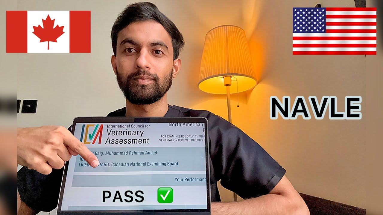 How I PASSED my NAVLE