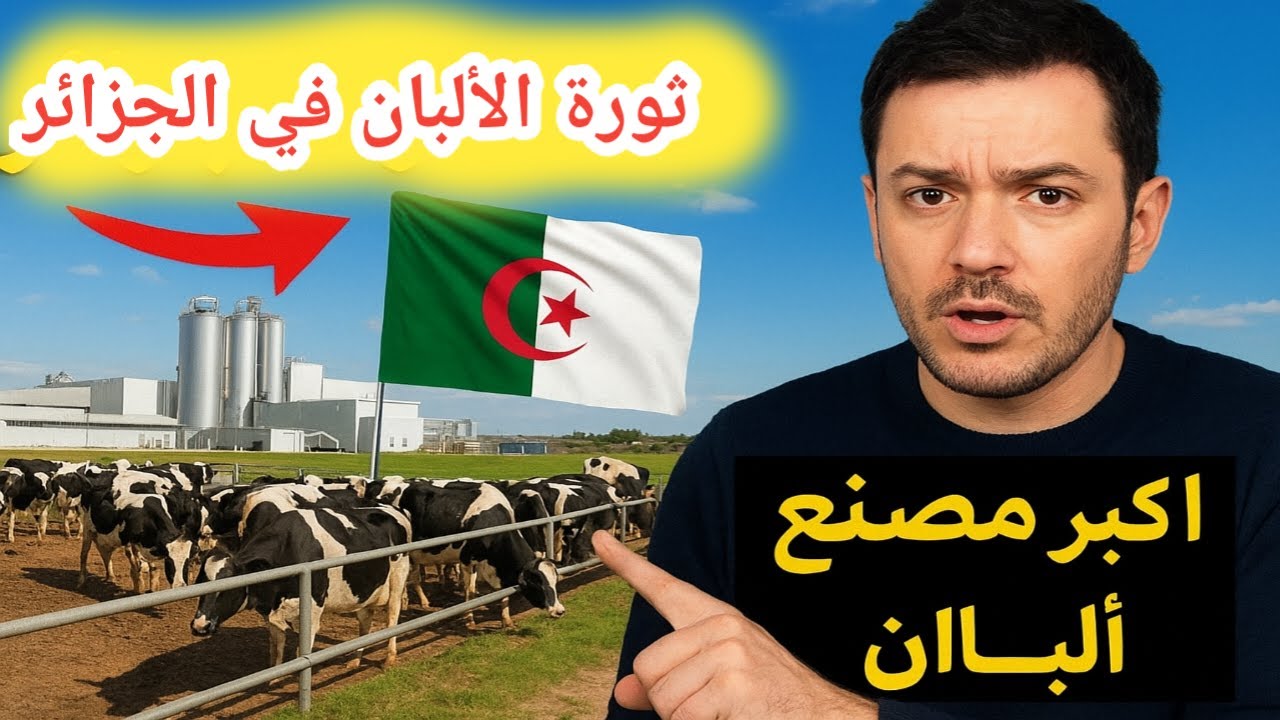 ألمانيا تختار الجزائر… والسر خلف أكبر مصنع ألبان في العالم | تحقيق يكشف ما لم يُقل