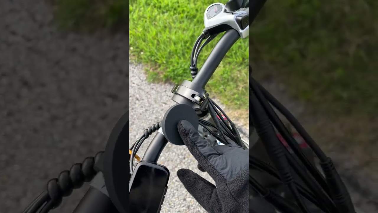 Gopina Electric Bike Review and test ride