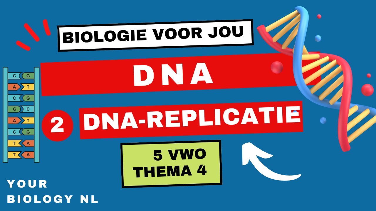 5 vwo | DNA | 2 | DNA-replicatie