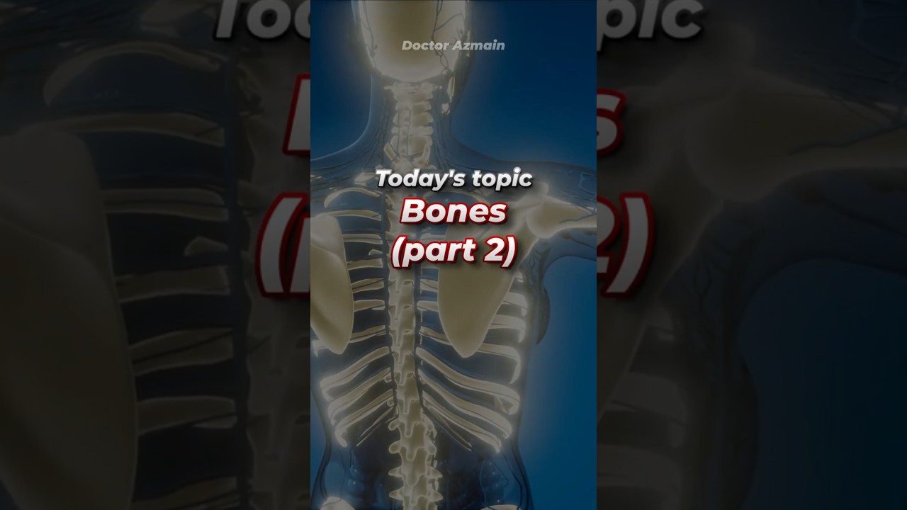 💀🦴 Bones Quiz 2! 😱 Only GENIUSES can get 3/5 🔥