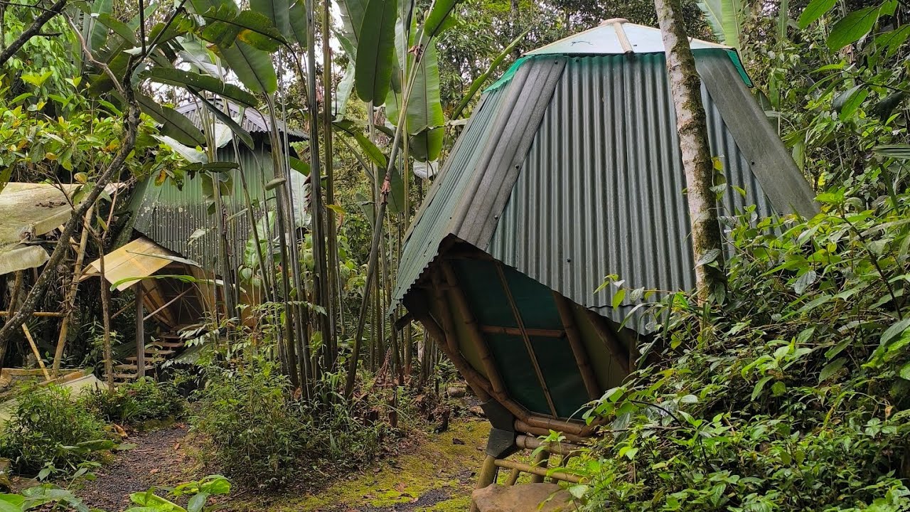 Amanecer en Kasaguadua, reserva de bosque de la comunidad Soto Zen de Colombia