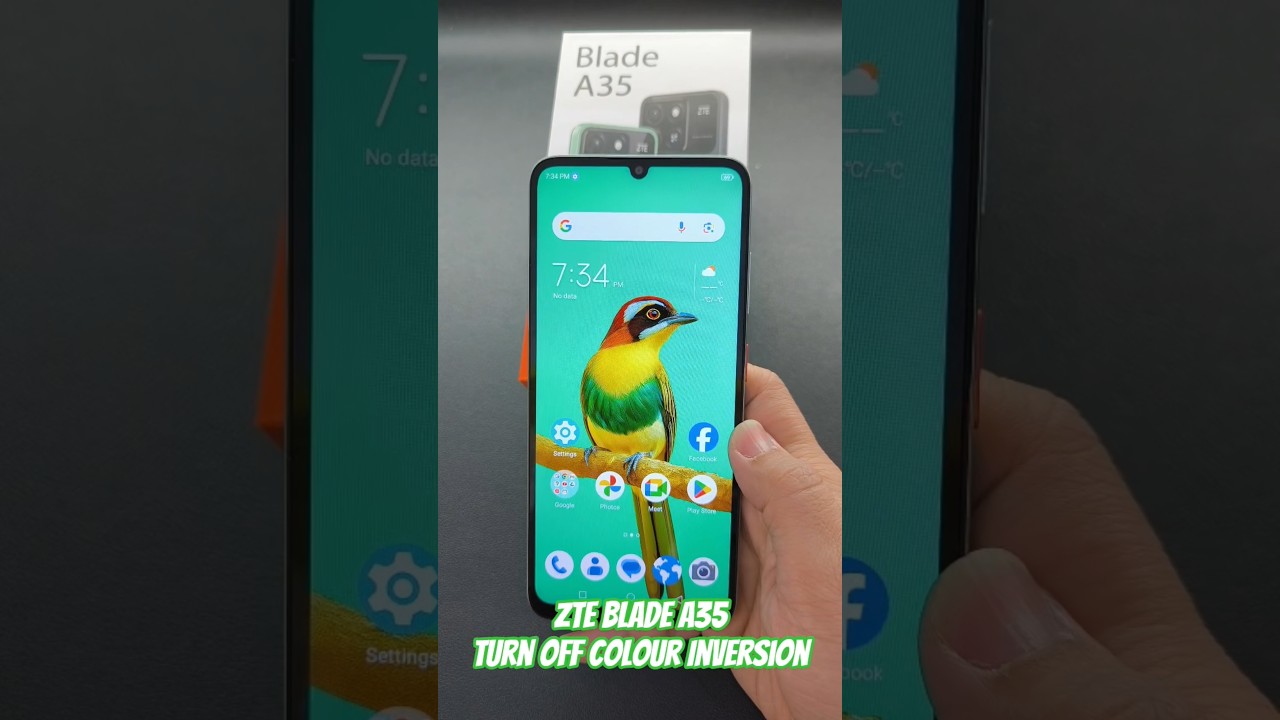 ZTE Blade A35 Turn off colour Inversion