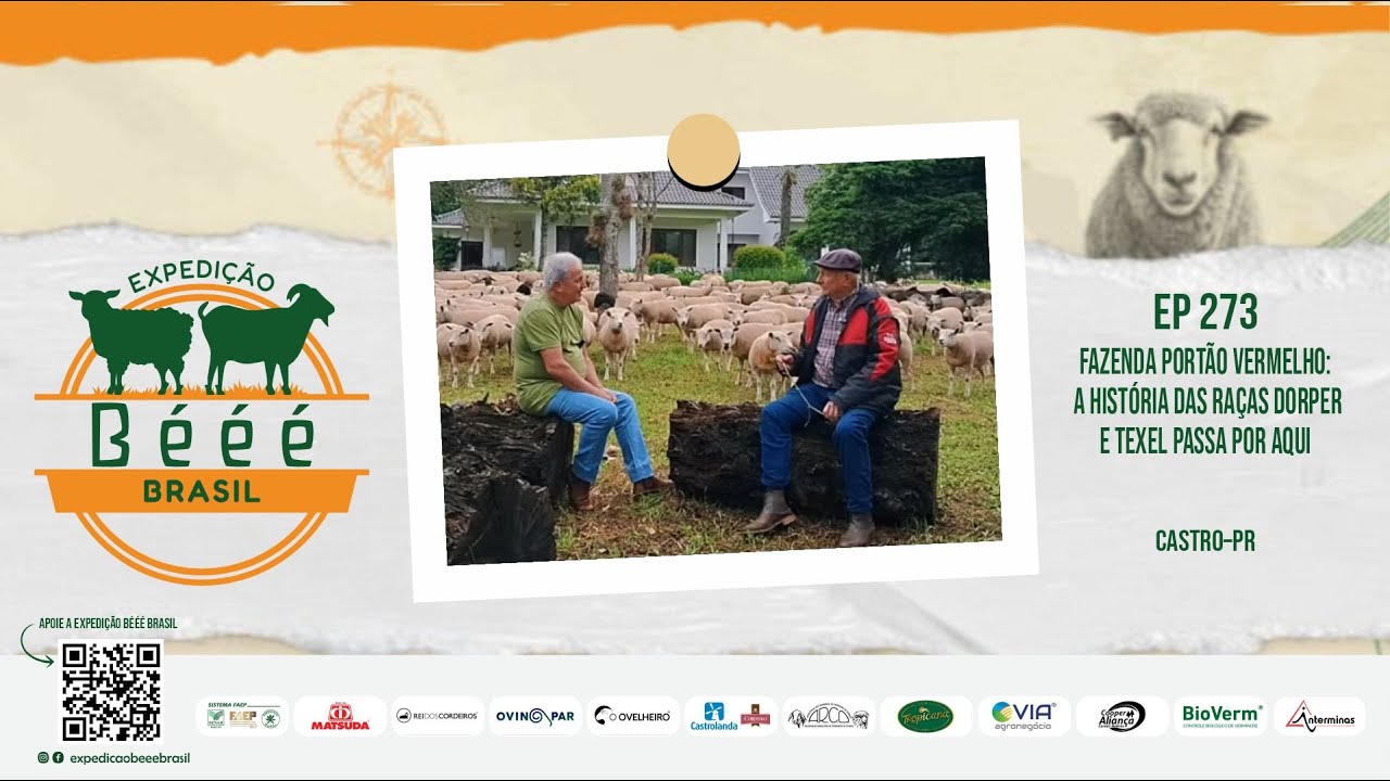 Fazenda Portão Vermelho: a história das raças Dorper e Texel passa por aqui
