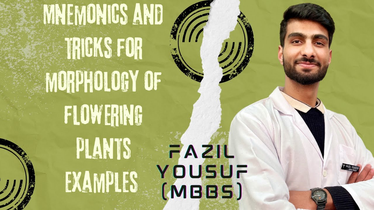 Mnemonics and tricks for examples of morphology in flowering plants 🌱 