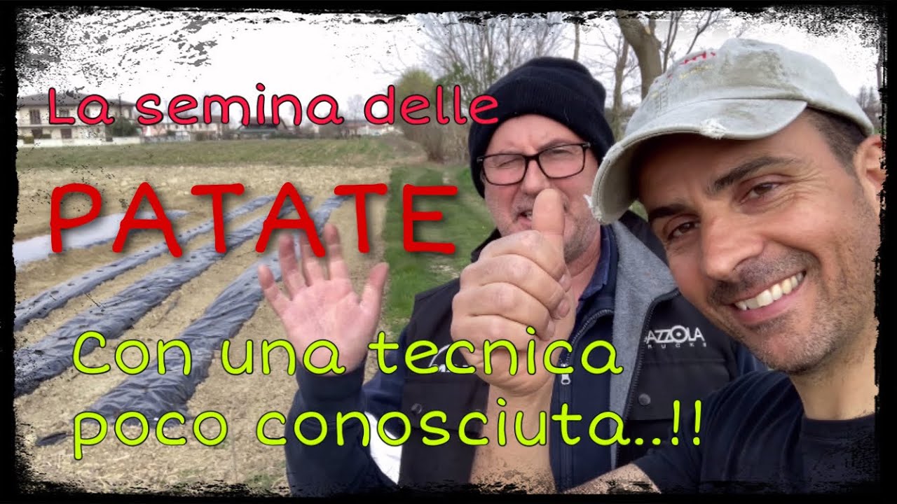 Semina delle patate con una tecnica poco conosciuta