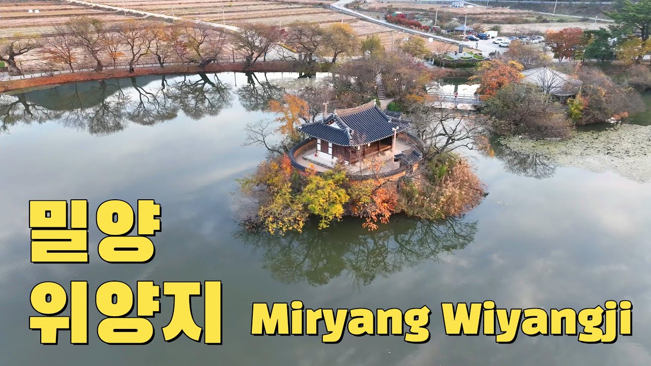 밀양 위양지 드론영상 Miryang Wiyangji drone video