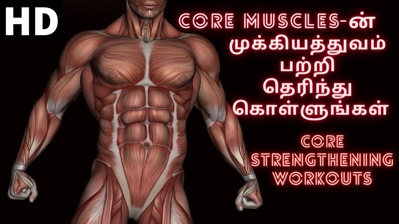 Core Muscles-ன் முக்கியத்துவம் | HD | Core Workout Tamil | Core Strengthening Workouts