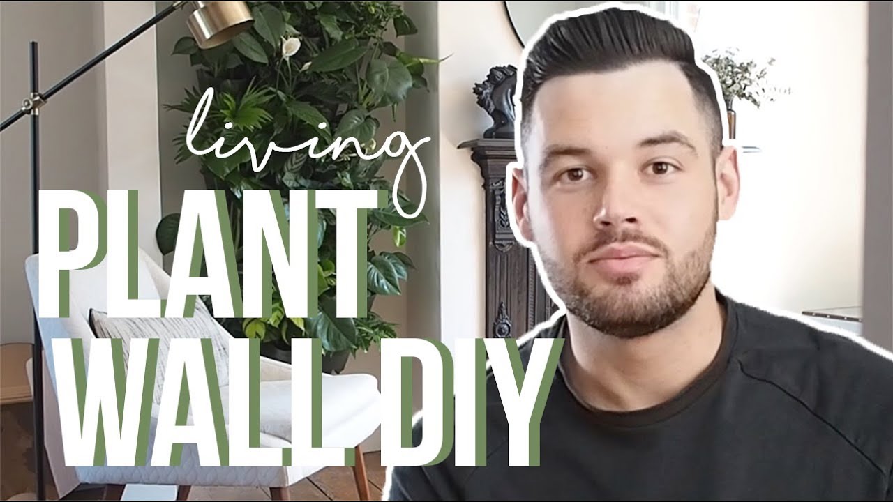 HOW I BUILT AN INDOOR LIVING PLANT WALL