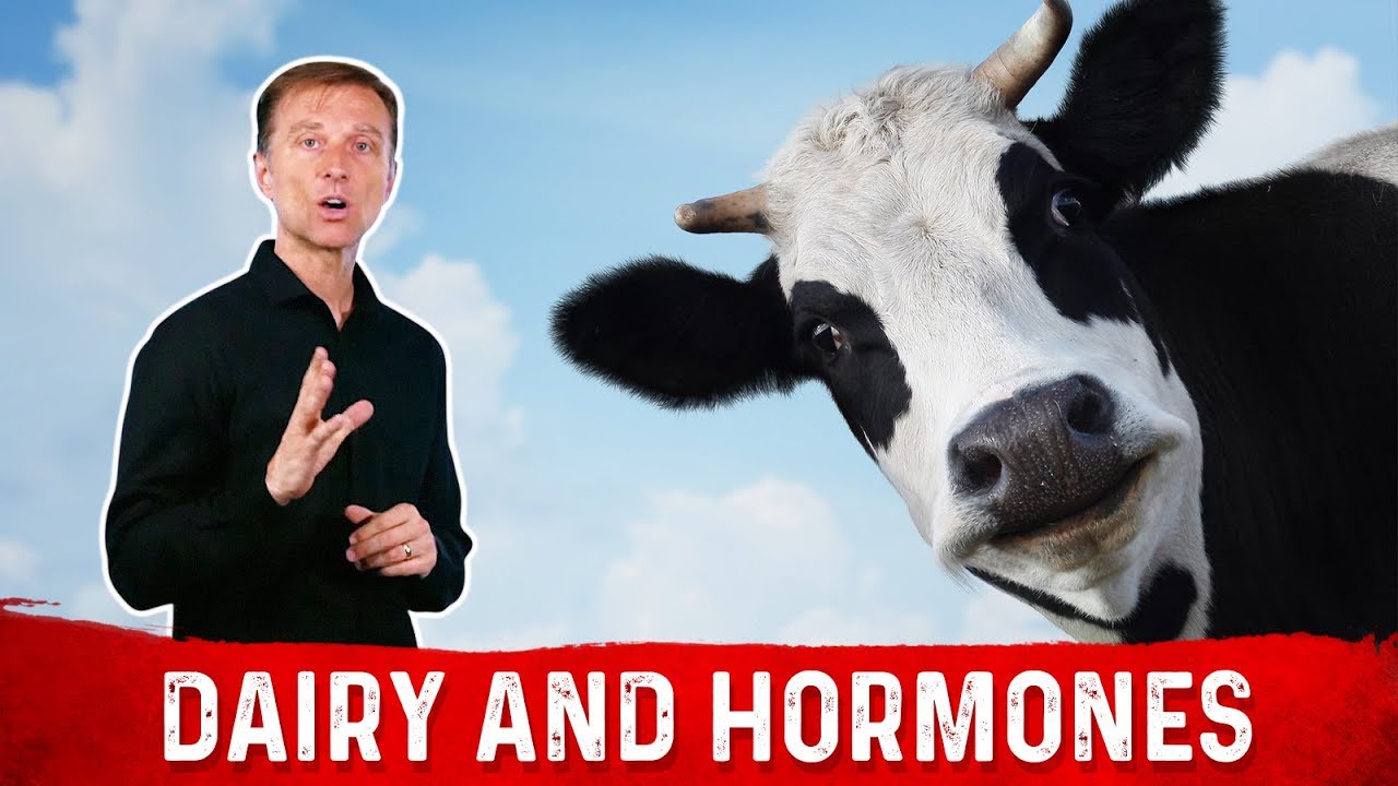 Dairy, Menstrual Cycle & Female Hormone &ndash; High Estrogen Foods To Avoid During Menstruation &ndash; Dr.Berg