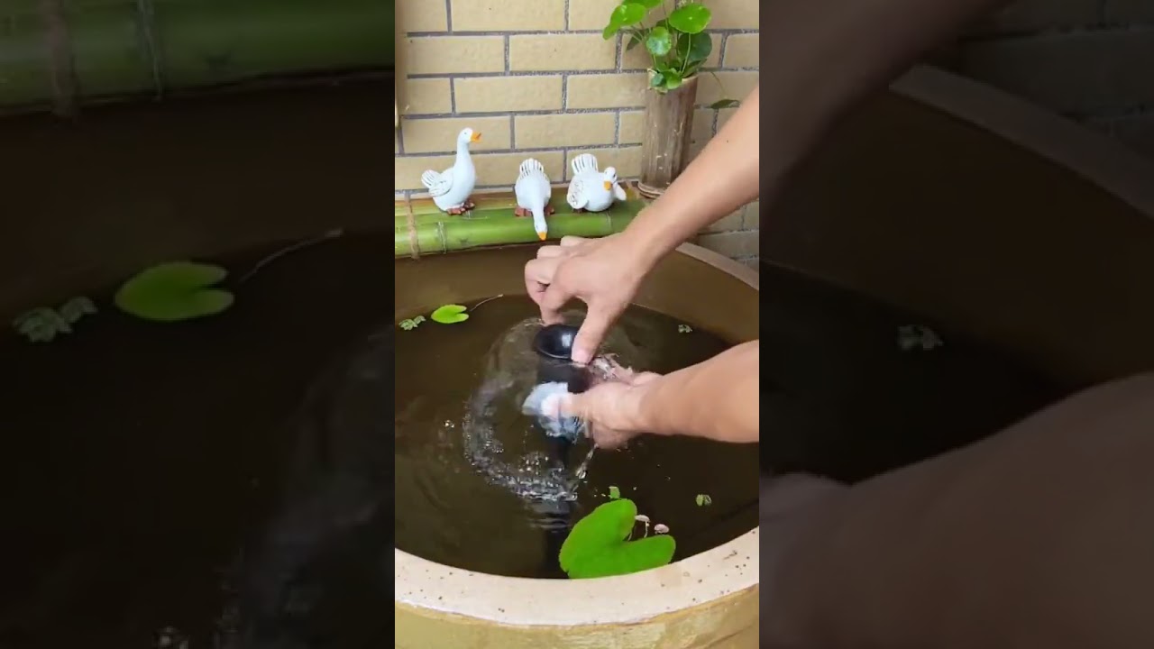 Best Pond Fountain in 2023 floating pond fountain pump
