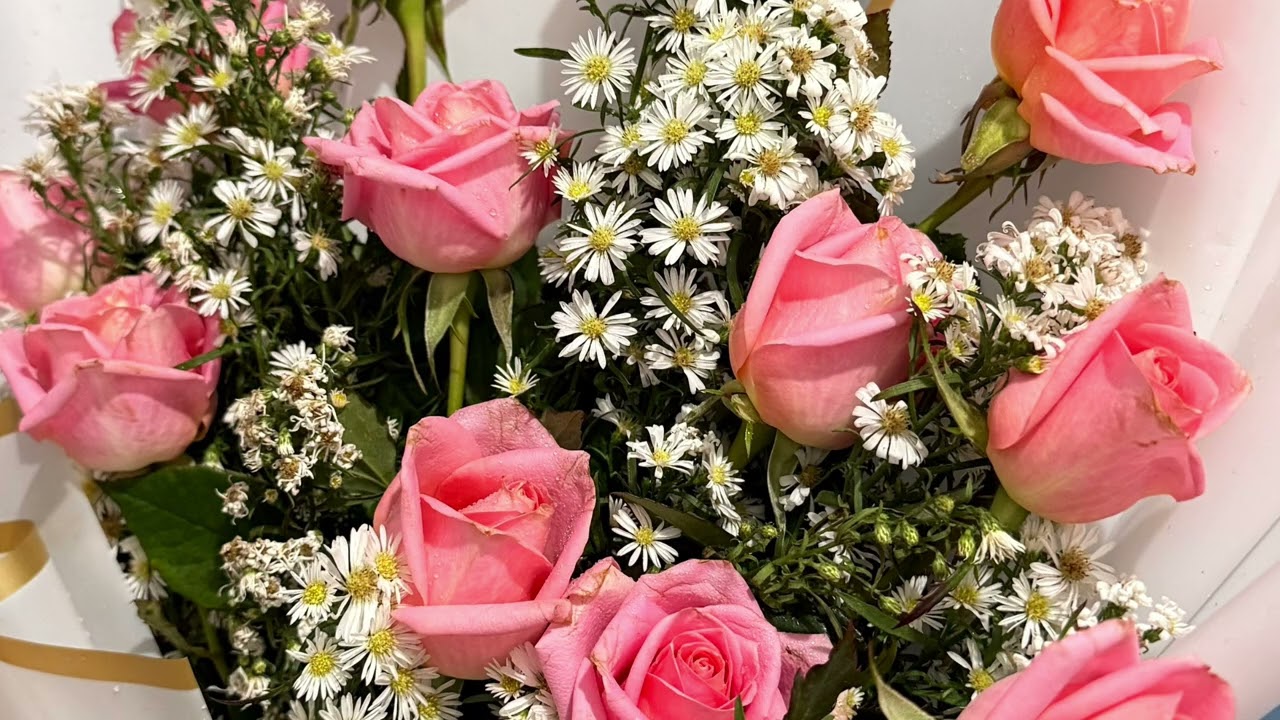 Pink Roses Bloom