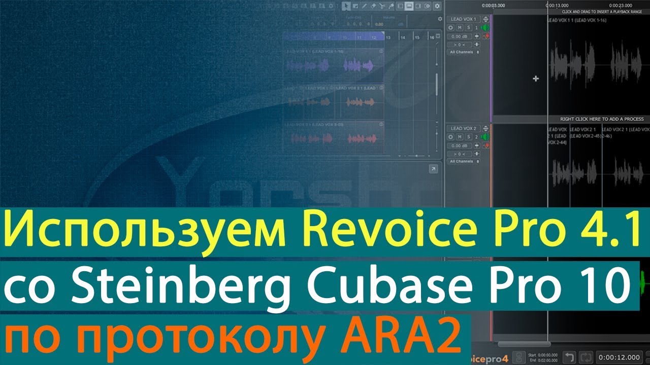 Использование Revoice Pro 4.1 с Cubase Pro 10 по протоколу ARA2 [Yorshoff Mix]