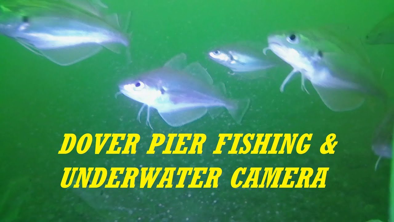 SEA FISHING UK PIER FISHING DOVER with the Priest and Baker fishing UK