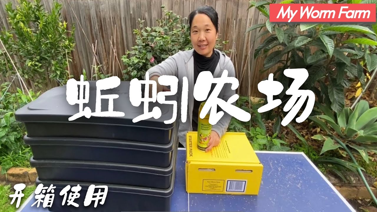 蚯蚓堆肥好处多！简简单单化厨余为黑金！蚓肥，种花种菜最优质的有机肥！my worm farm