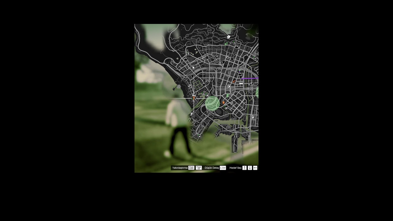 Chaos in Los Santos  GTA V Live