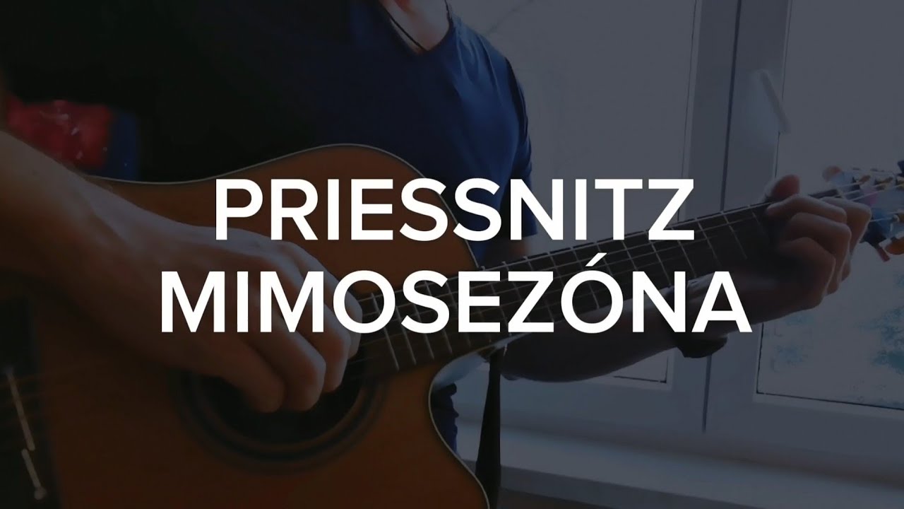 Priessnitz - Mimosezóna - Alois Nebel soundtrack version (guitar lesson)