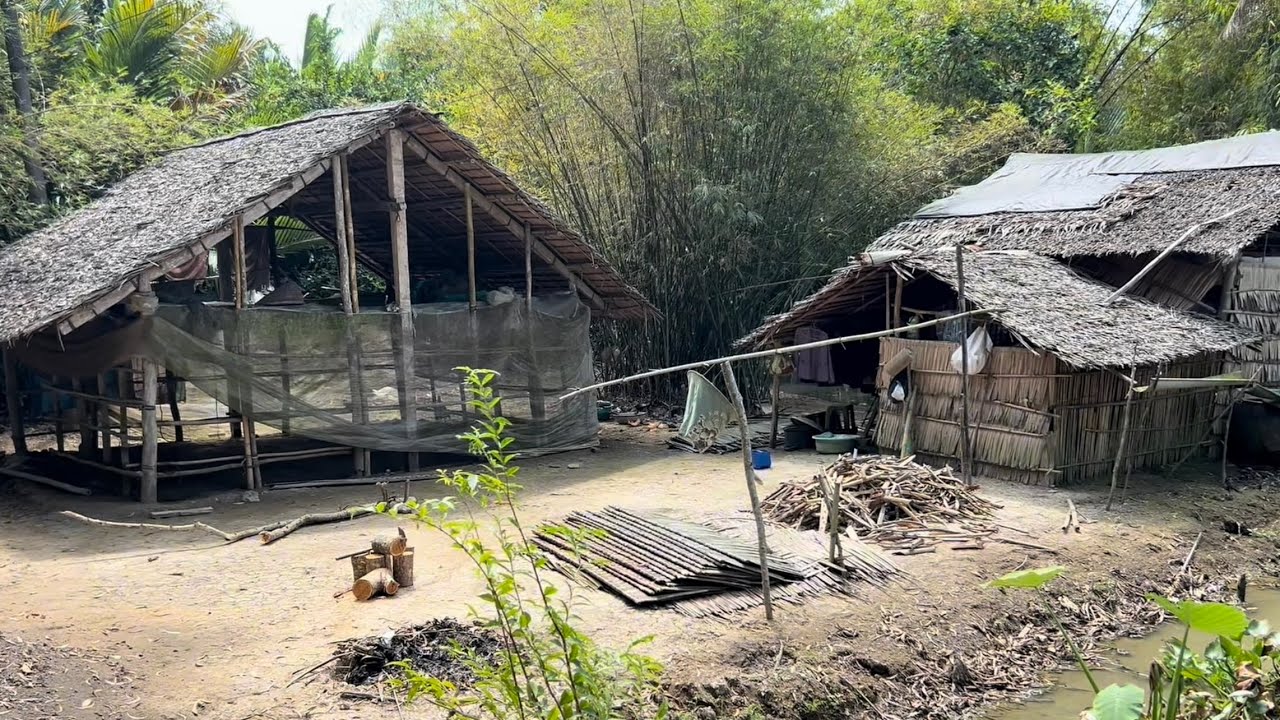 Khám Phá Vùng Quê Nghèo Còn Đốt Đèn Dầu, Mái Nhà Lá Mộc Mạc, Gắn Liền Kí Ức Tuổi Thơ 