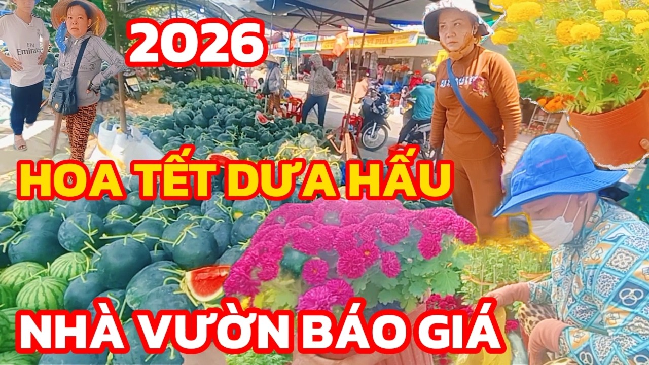 Cập Nhật Giá Hoa Tết Dưa Hấu Sát Tết: Tiểu Thương Than Trời, Người Mua Mừng Thầm