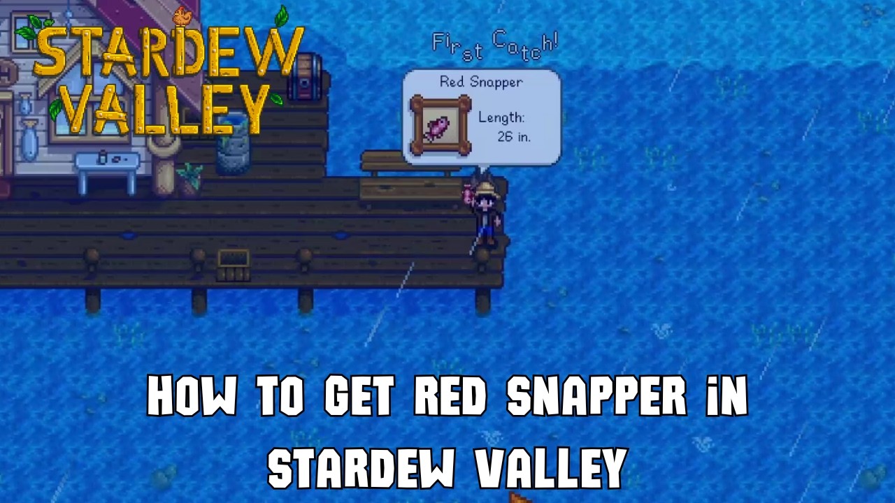 How to Get Red Snapper in Stardew Valley - Red Snapper Location