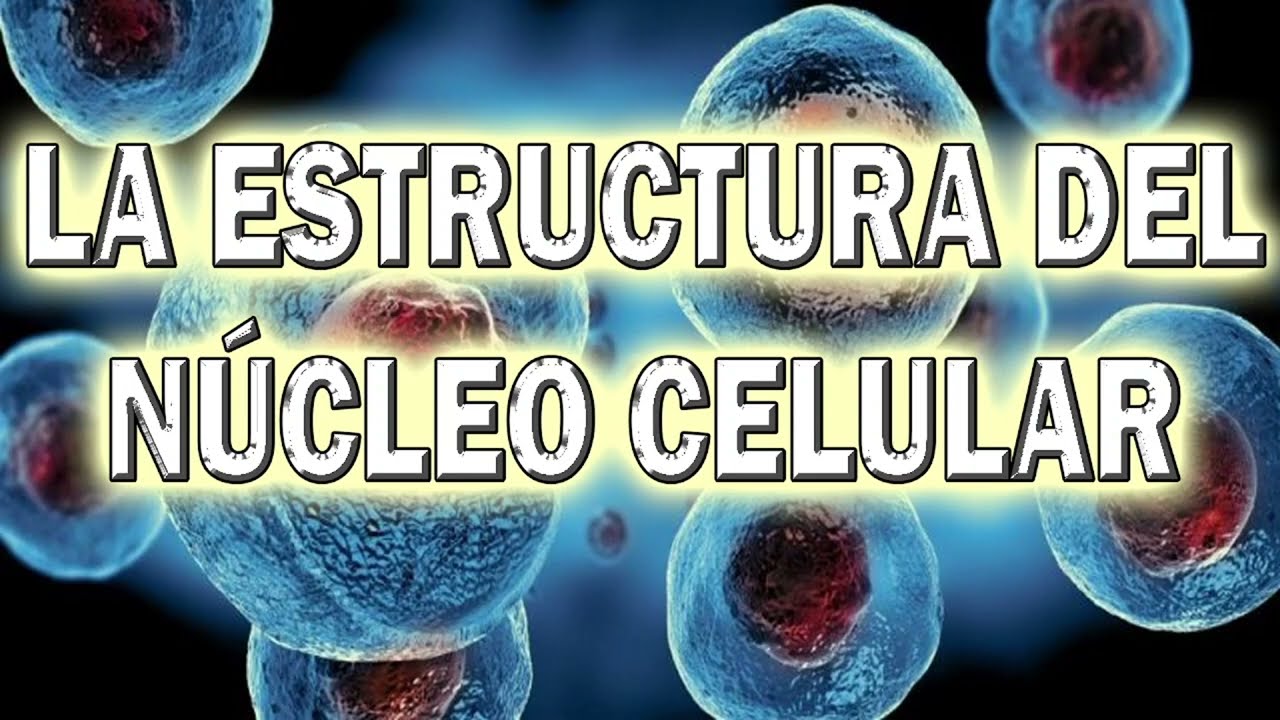 APREND&Eacute; COMO EST&Aacute; FORMADO EL N&Uacute;CLEO CELULAR