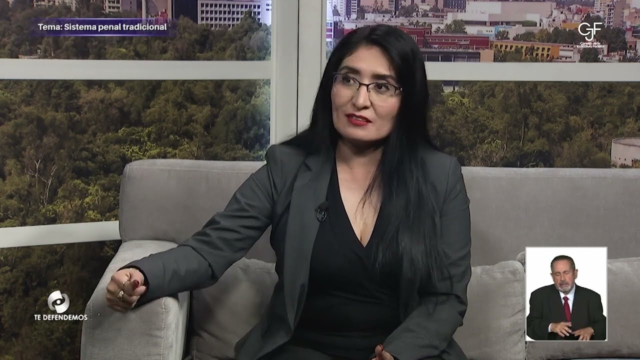 Te Defendemos | Sistema penal tradicional