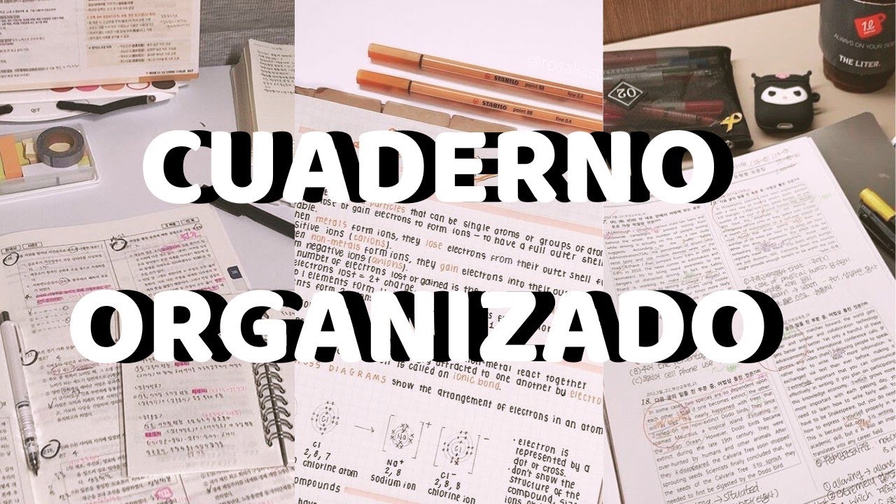 📒✅ C&Oacute;MO TENER UN CUADERNO BIEN ORGANIZADO Y ESTRUCTURADO ❗✌🏻 | MEIL SOL