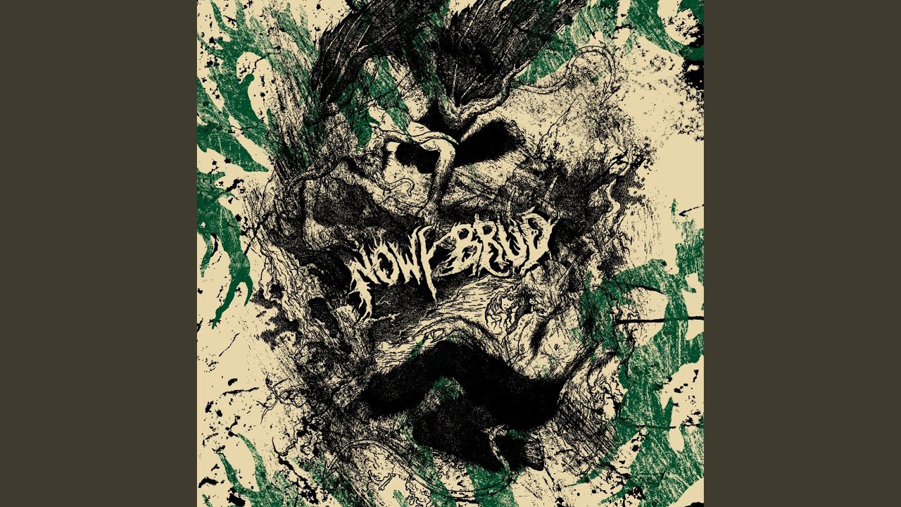 Nowy brud