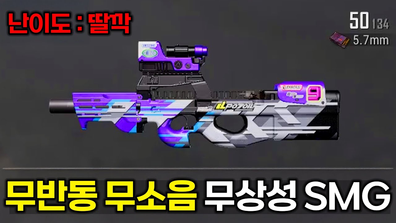 유일한 단점이 200발뿐인 사기총으로 해적질 해봤습니다🔥