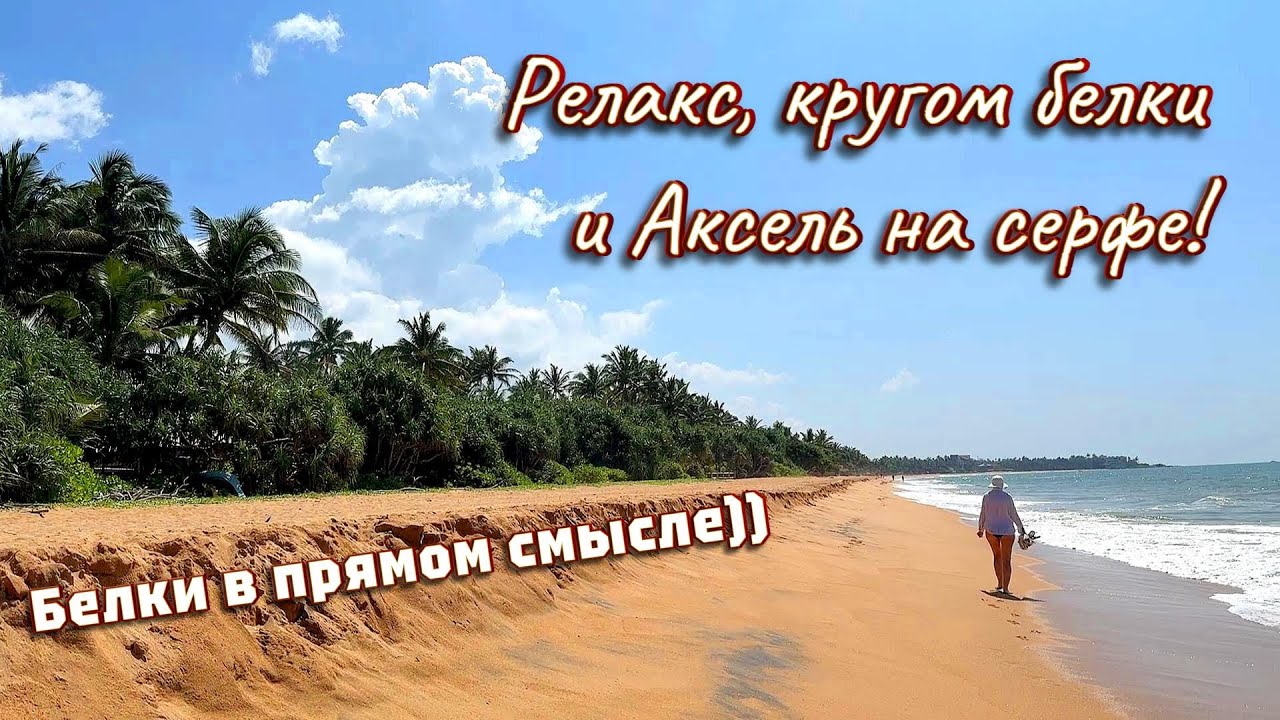 Пальмовая белка каждый день? Как мы жили на роскошной вилле