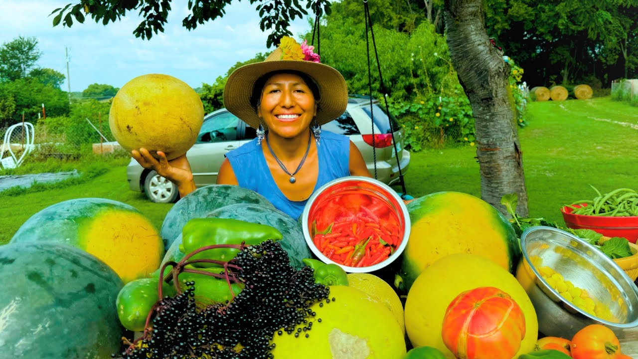 Cosecha Abundante del Huerto Org&aacute;nico🇺🇸A Bountiful Harvest/Organic Garden