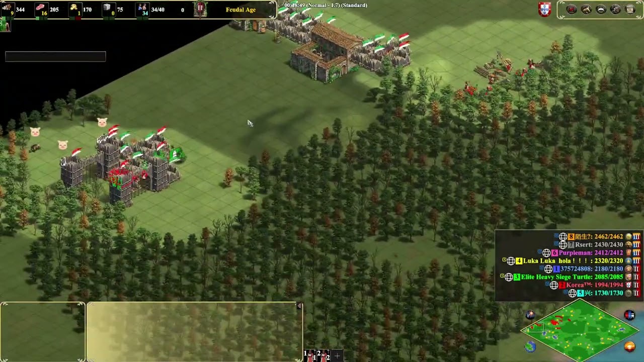 Aoe2DE - These Black Forrest Games Seem To Never Disapoint